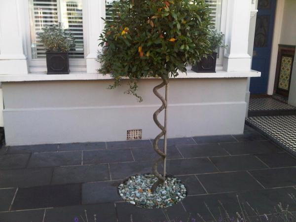 I Just liked the look of this garden