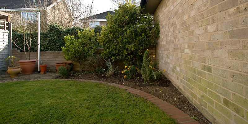 shrubs at the end of the garden