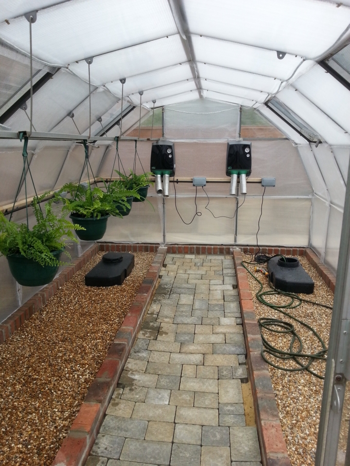 The first plants go in