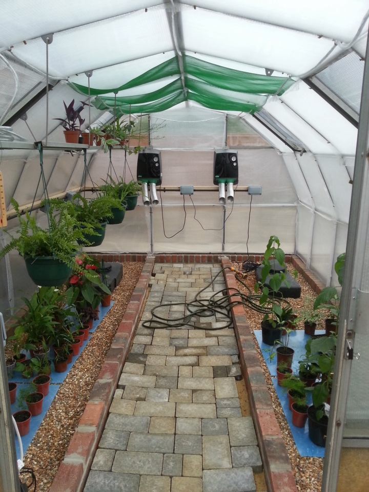 Starting the collection