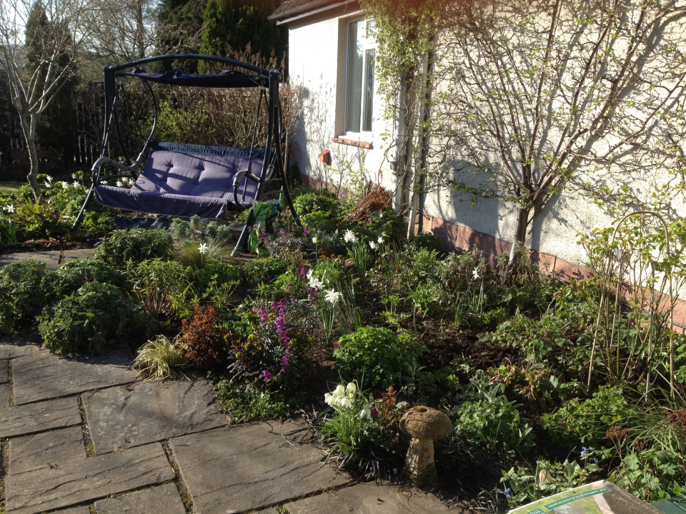 South facing. Needs a new plan