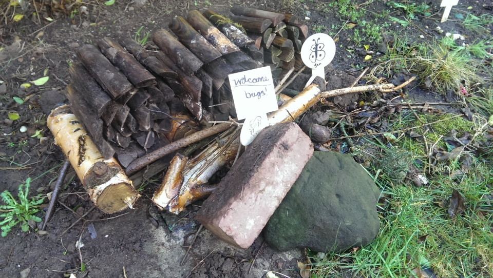 Home made bug house!