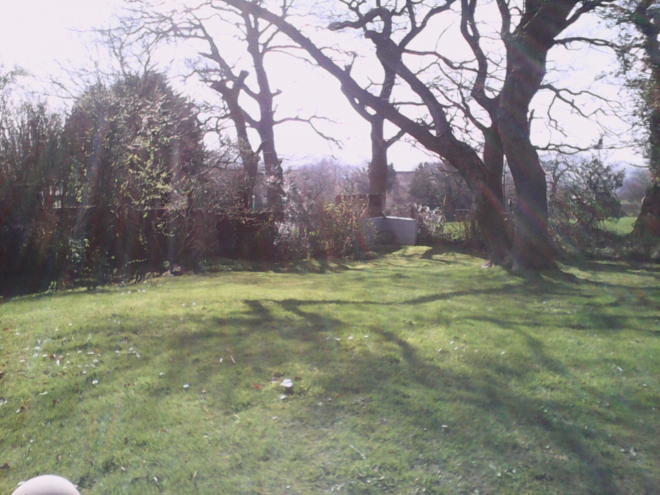 This is my brother's garden - he lives just around the corner - looks so nice I thought I'd...