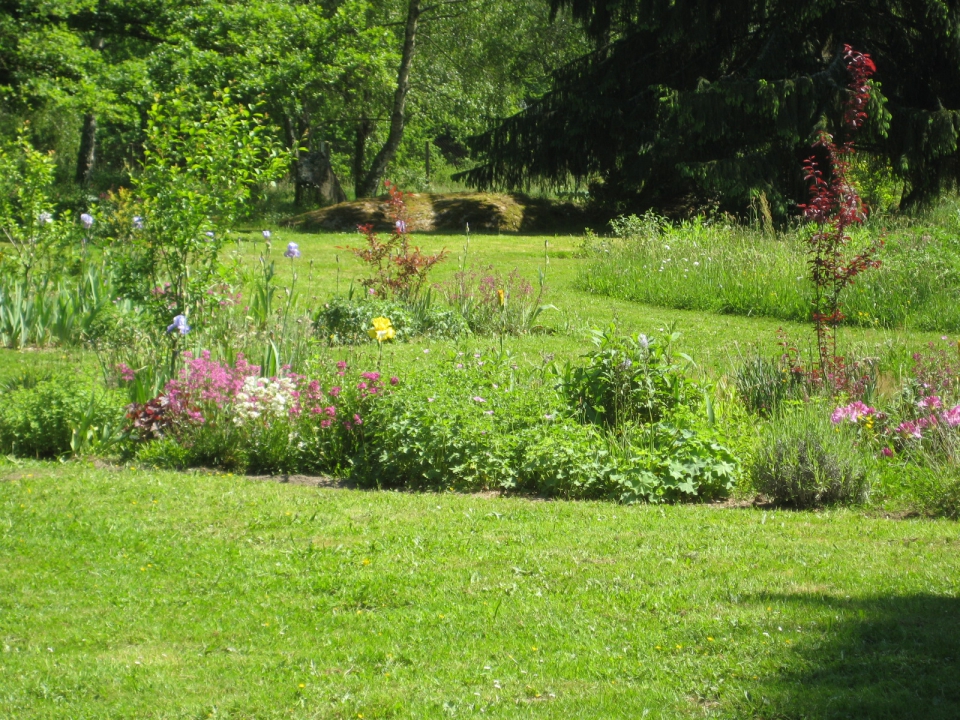 Three island beds each has a ribbon of iris running through their centre. Don't think they'll...