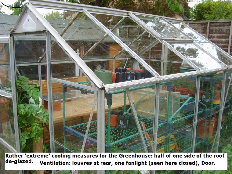 My Greenhouse
