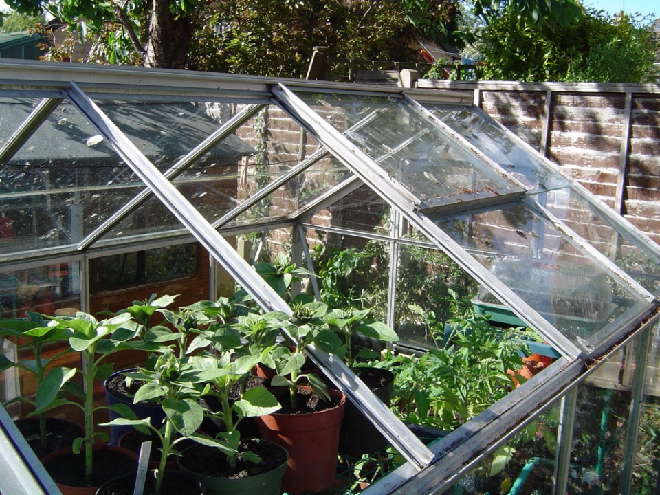 Don't be scared to try something even if it seems a bit silly / drastic.  i removed a quarter of...