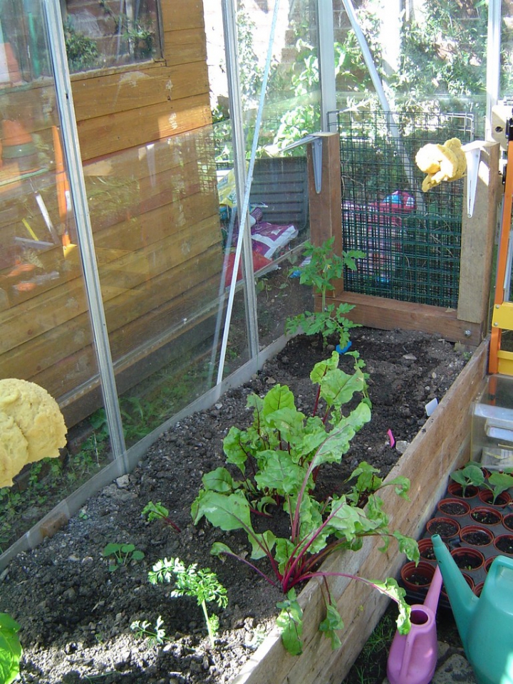 plants weren't flourishing under the worktop (an old kitchen surface) so that's gone now too