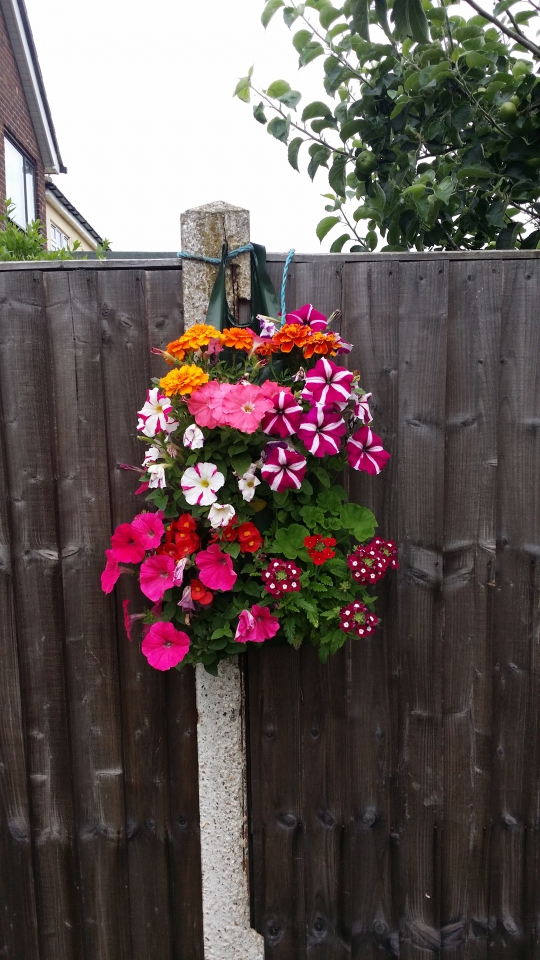 Love this one the best