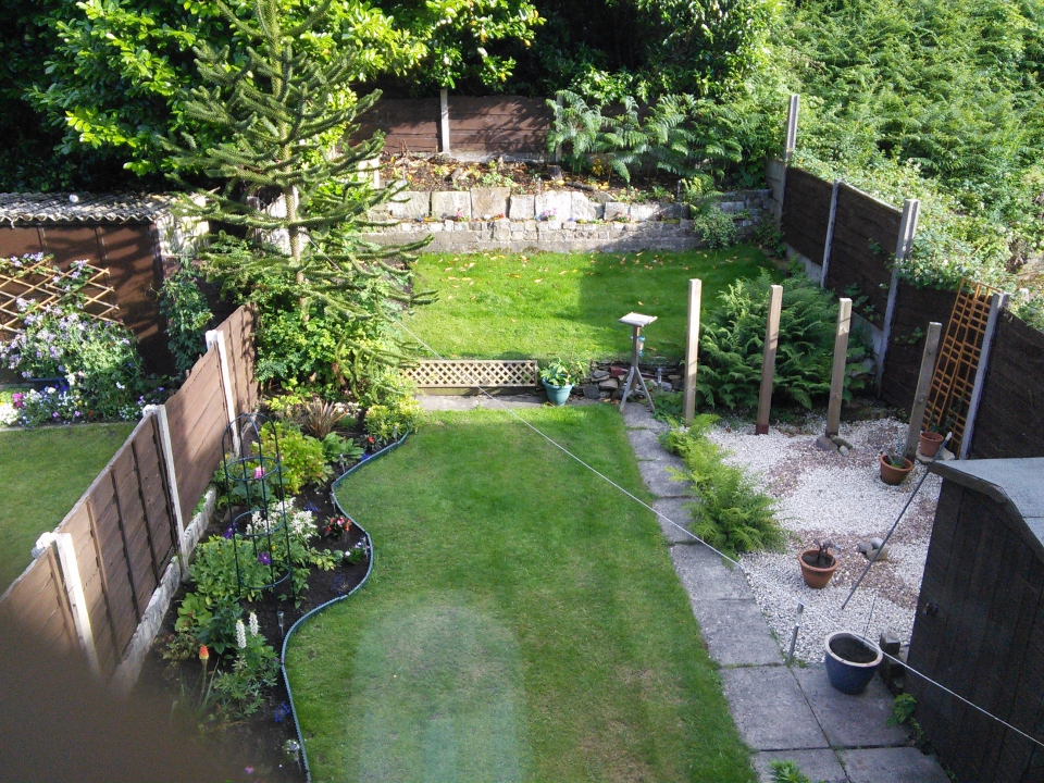 An overall view of my garden