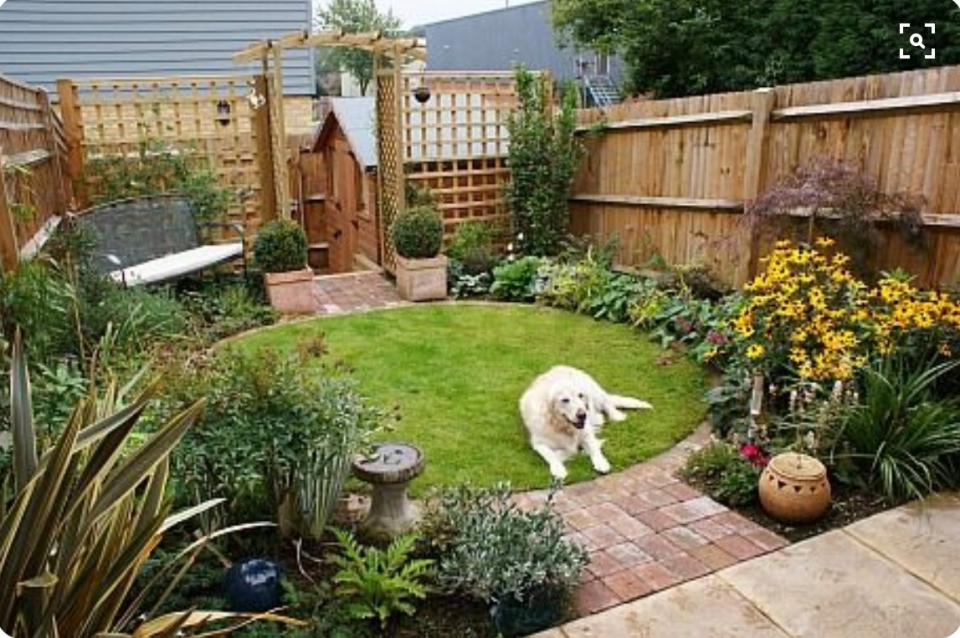 What I aiming for... Including the golden retriever