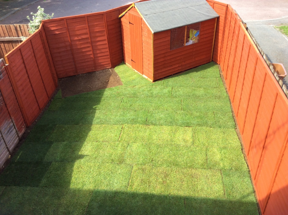 New turf down....and no I didn't lay it.."professional" did