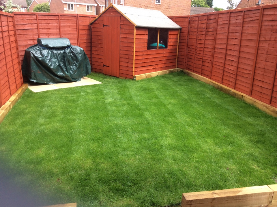 Semi revived before it collapsed