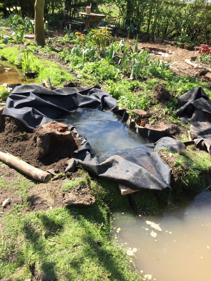 Pond 1 is about a foot higher than pond two. Added a little header pond at same level as pond 1....