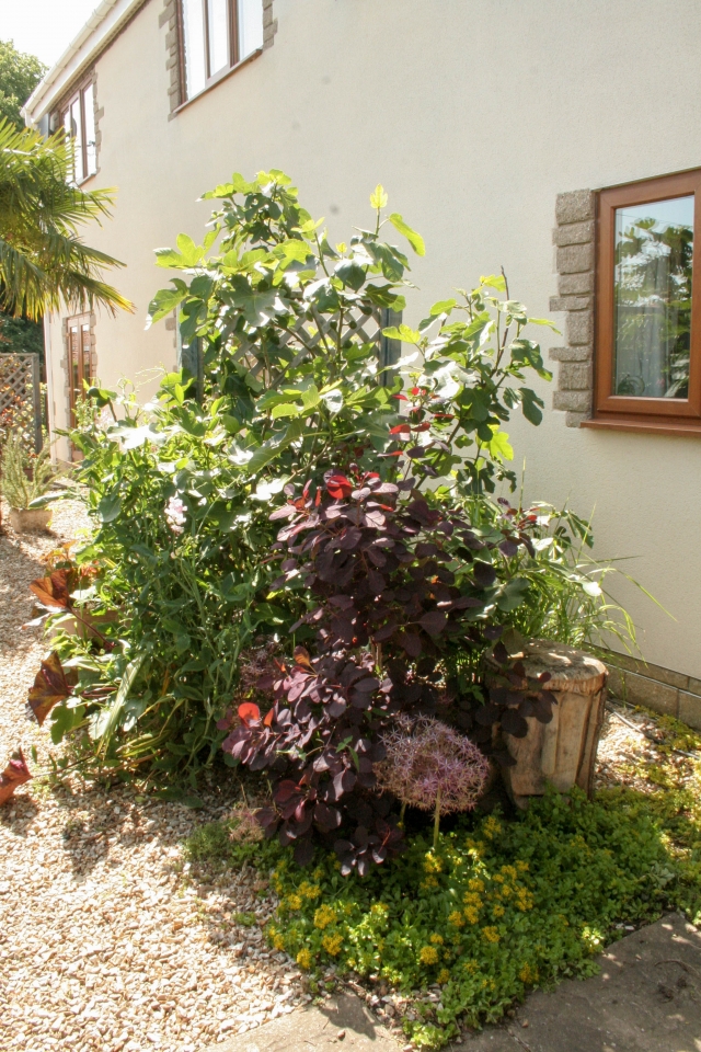 Looking from the table - back of the house