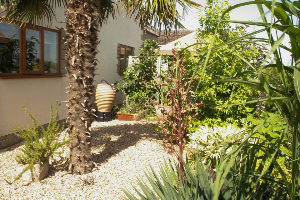 Looking back to the table - back of the house