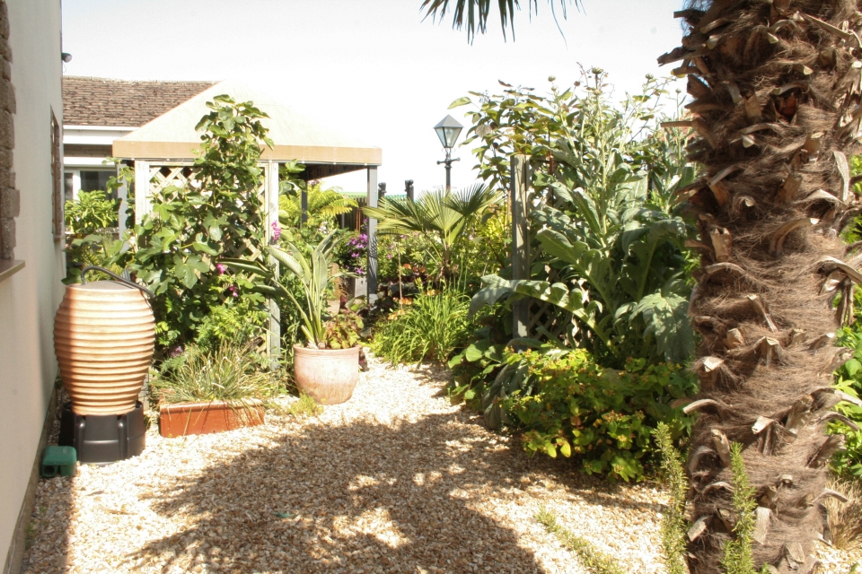 Another view looking back to the table - back of the house