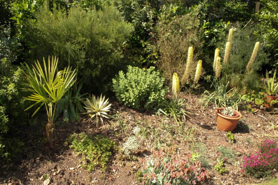 More top border - moving right