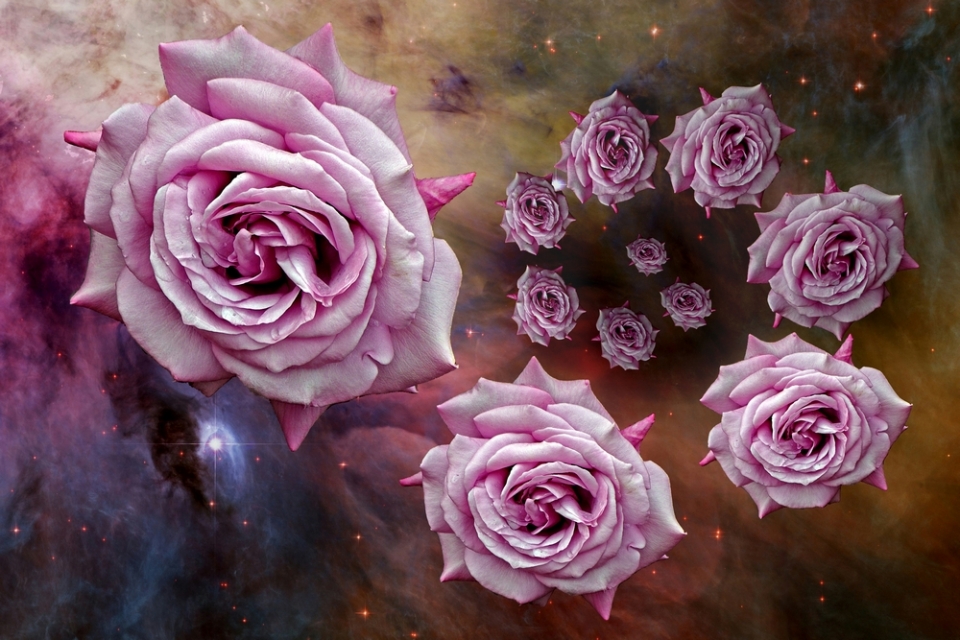 Playing with images is part of the fun.