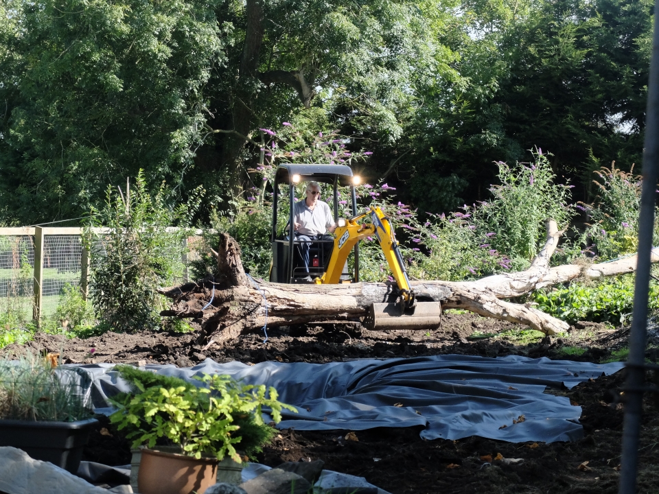 By now the conifers had been removed and the pond had been dug out and lined. The log came from...