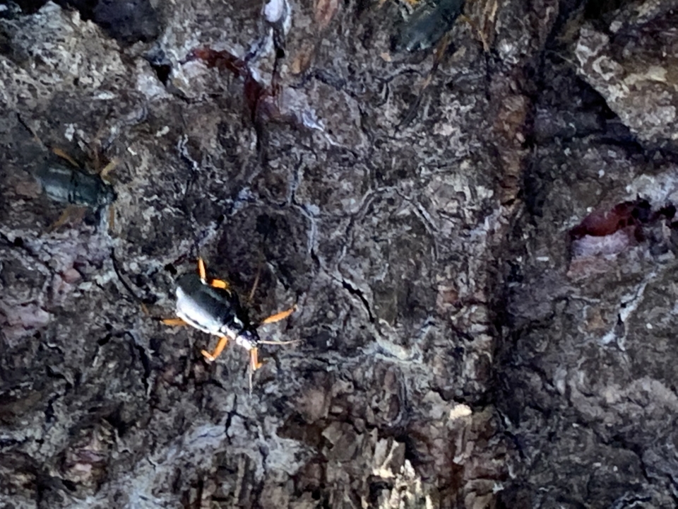 anyone know what this is and do i need to get rid of it