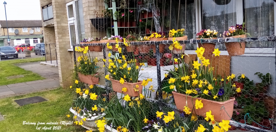 Balcony from outside (Right) 1st April 2021