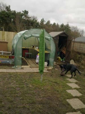 front view of our poly tunnel