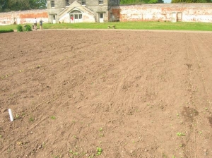 Shugborough Walled Garden