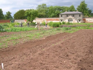 Shugborough Walled Garden II