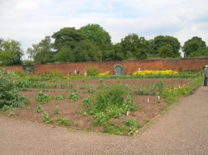 Shugborough Walled Garden III