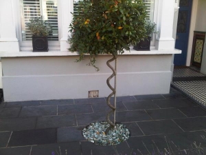 I Just liked the look of this garden