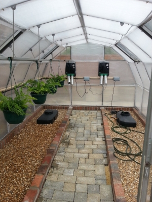 The first plants go in