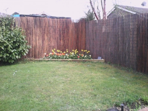 Stepping back a bit....the corner doesn't get much sun.