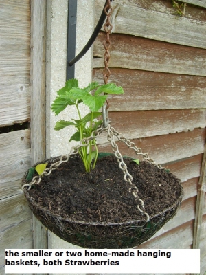 Home made Hanging Basket