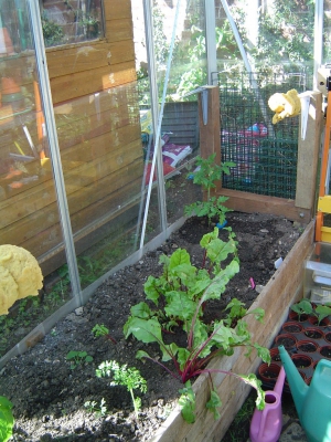 plants weren't flourishing under the worktop (an old kitchen surface) so that's gone now too