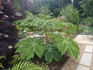 This is spreading every where