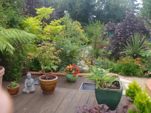 This is our oriental look