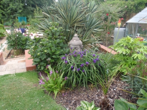 we things popping up from the growth