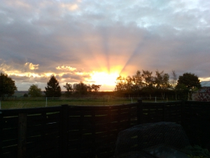 And a very good morning to you too!