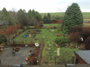 Moles lead to project