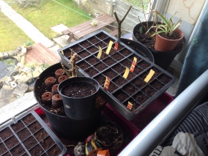 Spring has arrived!!