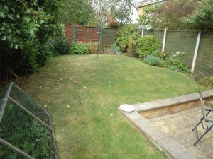 My little piece of earth