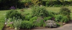 Herb garden