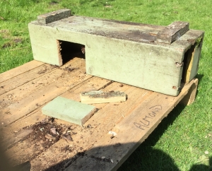 Building a Hedgehog House