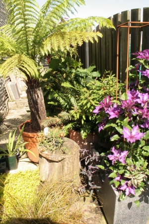 More back of the house