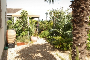 Another view looking back to the table - back of the house