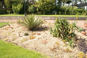 More of the arid area