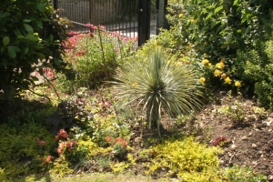 Top border left hand end