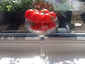 My home grown cherrie toms