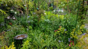 This was originally going to be the hot patch, but with so many trees its now a lot more mixed.